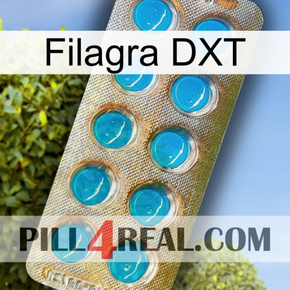 Filagra DXT new09.jpg